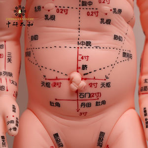 Acupunctuurpuntmodel voor baby's met Engelse en Chinese identificatie en moxibustie-simulatie - Product Image 6