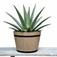 Pot de fleurs en plastique durable, design imitation bois, pour balcon, jardin, décoration, idéal pour les succulentes et les légumes, directement de l'usine