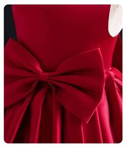 Robe de princesse en tulle pour bébés filles, idéale pour récital de piano, anniversaire, première cérémonie, spectacle sur scène, costume élégant - Product Image 6