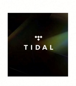 Suscripción Premium a Tidal Music por 12 Meses, Cuentas Tidal, Tidal Hifi Plus 1 Año - Product Image 2
