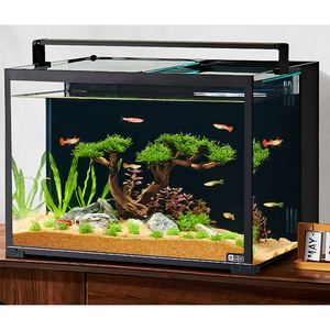 Best Sellers Glass Tabletop <strong>Fish</strong> <strong>tank</strong> with Ultra-white Back Filter <strong>Small</strong> Ecological Tabletop Landscape <strong>tank</strong> Glass for Household - Product Image 1