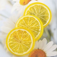 Kunstmatige citroenschijfjes nep fruitversieringen voor feest thuis keuken raamdecoratie model opname rekwisieten