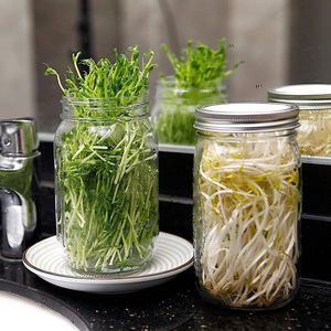 Venta al por mayor de fábrica, 16oz, 32oz, tarro de almacenamiento de conservas de vidrio de boca ancha vacío, botella de brotes con tapas de brotes de acero inoxidable - Product Image 3