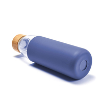 Bouteille d'eau en verre borosilicate de haute qualité avec manchon en silicone de 550 ml et couvercle en bambou – Offre spéciale