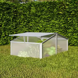 Small Indoor Greenhouse Mini Green House
