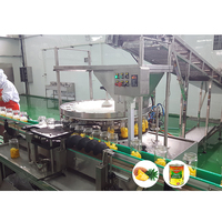Ananas Kan Voedsel Proces Machine Ananas Fruit Blik Productielijn