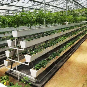 <span class=keywords><strong>Gouttière</strong></span> de plantation de fraises à faible coût - Product Image 4