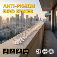 Piques anti-oiseaux autocollantes en acier inoxydable Tengfei pour la lutte contre les pigeons et les nuisibles sur les toits et les panneaux solaires – Vente en gros directe usine