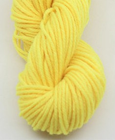 04 rapeseed yellow