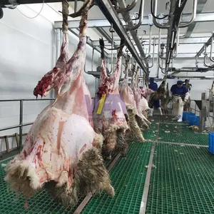 पूरा बकरी वध मशीन वधशाला उपकरण डिजाइन भेड़ कसाईखाना मांस प्रसंस्करण मशीनरी कीमत