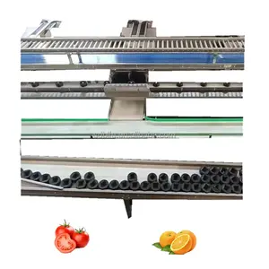 Küçük gıda ağırlık denetleyicisi derecelendirme makinesi meyve sebze ağırlık sıralama makinesi