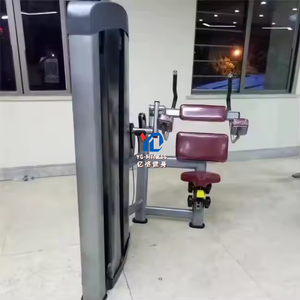 Máquina <span class=keywords><strong>de</strong></span> Gimnasio YG-7011 para Entrenamiento <span class=keywords><strong>de</strong></span> Tríceps con Selección <span class=keywords><strong>de</strong></span> Carga por Pin para Estudio <span class=keywords><strong>de</strong></span> Transmisión en Vivo y Cursos <span class=keywords><strong>de</strong></span> Fitness - Product Image 2