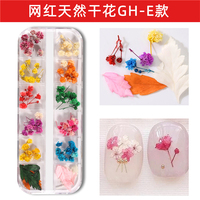 WELLFLYER-Fleur Sèche Naturelle pour Nail Art, Décoration 3D, Tranches UV, Vernis Gel, DIY, Conseils Manucure, Fleurs Sèches Décoratives, NABD-114