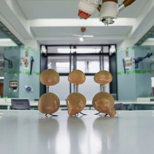 Медицинская анатомическая модель: нормальная и патологическая простата, гиперплазия простаты, патологии простаты - Product Image 3