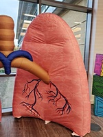 Modèle de poumon humain gonflable géant 3M, modèle anatomique en tissu Oxford, couleur personnalisable, stimule l'engagement, éducation médicale/santé