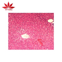 Medical Science Animal histology slide set laboratory apparatus slides Liver sec
