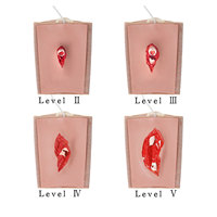 Modèles de fractures orthopédiques en silicone portables pour l'enseignement médical DARHMMY (Différents niveaux de gravité)