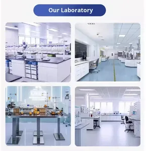 Empresa de Serviços de Inspeção e Controle de Qualidade Totalmente Acreditada na China, Inspeccionando e Verificando Produtos - Product Image 6