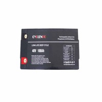 Pasokan Langsung dari Pabrik Lifepo4 100ah 120ah Batterie Lithium Ion 48V