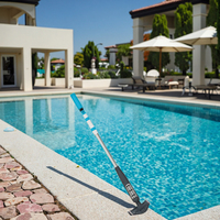 Aspirateur de piscine électrique rechargeable, nettoyeur sous-marin portatif pour spa, bain à remous et petites piscines hors sol à parois souples