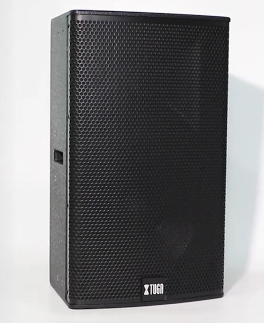 XTUGA 12-Inch Wooden Active Speaker 2*400w Power Amplifier Hot Sale Factory Direct for Home Theatre Outdoor Parties BT/ADD
