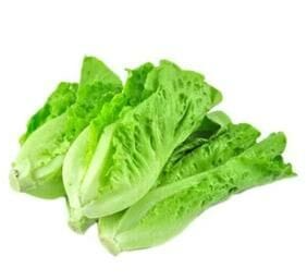 ส่วนผสมจากธรรมชาติแท้ 100% แลคทูซินจากสารสกัดจากผักกาดหอมป่า (<span class=keywords><strong>Lactuca</strong></span> <span class=keywords><strong>Virosa</strong></span>) - Product Image 3