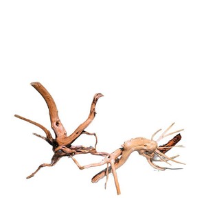 Branches de bois flotté naturel pour la décoration d'aquariums, avec des caractéristiques de racinement pour plantes aquatiques - Product Image 5
