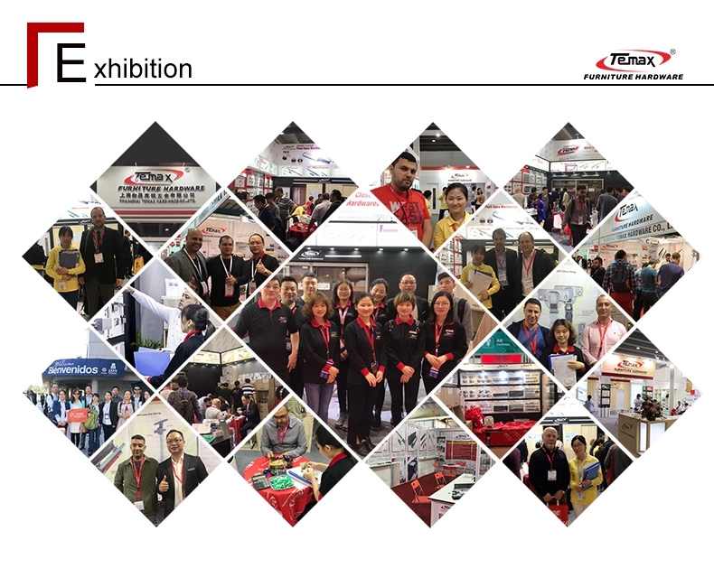 Temax Kitchen cabinet Flap stay soft close  door support lift up system FS085