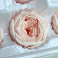 Boîte carrée de roses naturelles préservées éternelles - Longue durée de vie (3-5 ans) pour la Fête des Mères, le Nouvel An et le Nouvel An Chinois