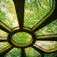 Matériau de décoration intérieure Plafond tendu en PVC imprimé en 3d pour salon européen pop