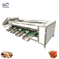 YouBan Food Grade Roller Type Sorteermachine voor bieten, fruit en groenten op maat