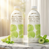 Nihewan Mint & Amla Vier Seizoenen Oolong Thee Groothandel OEM ODM Private Label Drankproducent
