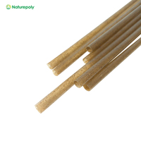 Paille à boire biodégradable et compostable de qualité alimentaire, en bagasse de café et en grains de café, en promotion