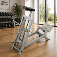 Xinrui Meilleures ventes Appareil de fitness à charge par plaques pour la force, Rameur vertical à barre en T Megamass Pro