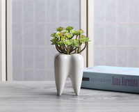 Miniature jardinière en céramique blanche émaillée écologique en forme de dent, avec trous, pour usage extérieur/intérieur - Vente en gros de pots de luxe