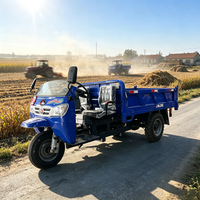 Tuk-tuk diesel à trois roues, camion benne lourd 25 CV 3000 kg, moteur refroidi par eau pour usage agricole et minier