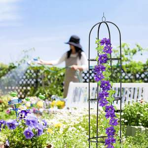 Support de plante rond <span class=keywords><strong>en</strong></span> forme de tour, treillis pour fleurs, fruits, légumes, concombre, tomate, <span class=keywords><strong>pot</strong></span> de rose, pois, haricot, lit surélevé - Product Image 6