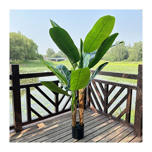 <span class=keywords><strong>Bananier</strong></span> QYYM-526 - Product Image 3