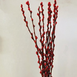 Offre Spéciale coloré préservé salix argyracea fleur véritable naturel préservé de saule pour la décoration du festival - Product Image 3