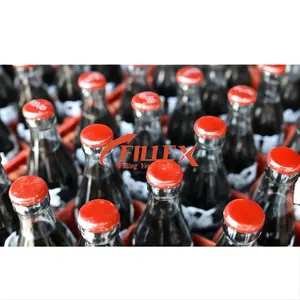 8000-10000-13000BPH 500ml Small Scale Machines 3 in 1 CSD Carbonated Beverage Soda Sparkling Water Soft Drinks Filling Machines