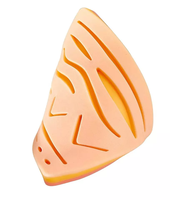 Kit de formation complet personnalisé pour la pratique de la suture, modèle anatomique, ressources pédagogiques pour les étudiants en médecine et les hôpitaux