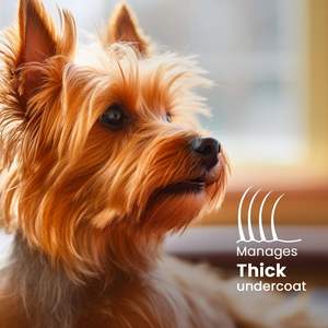 Champú Profesional Blanqueador <span class=keywords><strong>para</strong></span> Mascotas Gubeyka Berry Blue Brightening con Aroma Fresco <span class=keywords><strong>para</strong></span> Perros y Gatos, Ultra <span class=keywords><strong>Hidratante</strong></span>, Calidad Profesional - Product Image 4