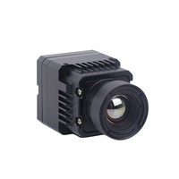 Mini caméra thermique infrarouge réseau 640x512 avec vision nocturne, prend en charge les interfaces CVBS et IP, garantie 1 an