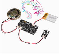 Módulo de Sonido con Control de Botones, Reproductor de Música y Voz, Chip de Voz Programable, Musical, 8MB, MP3, WAV, Descargable por USB, con Caja de Baterías AA
