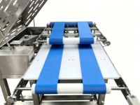 Machine à trancher la viande automatique à grande vitesse en acier inoxydable 304, certifiée CE, pour l'industrie agroalimentaire