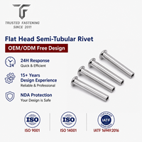 Rivets semi-tubulaires à tête plate TianFang pour protections de convoyeurs, zingués, fabrication fiable OEM ODM