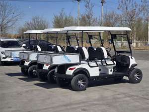 Vehículo Utilitario con Plataforma de Carga, Buggy para Golf, Mini Camioneta, Carro Eléctrico de Transporte, Certificado CE para Carreteras No Públicas - Product Image 6