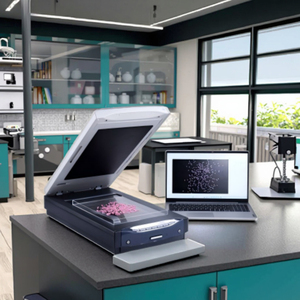 Analisador de Precisão para Processamento de Amostras de Arroz, Medidor de Detecção de Precisão para Processamento de Arroz, Detector Automático de Precisão para Processamento de Arroz - Product Image 5