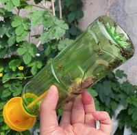 Piège à mouches des fruits tueur en plastique jaune piège à drosophile attrape-mouches spdak contrôle des insectes pour la maison ferme verger