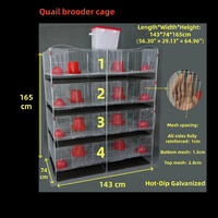 Cage d'élevage de cailles robuste galvanisée à chaud pour l'élevage à petite échelle et les opérations d'élevage de volailles en arrière-cour